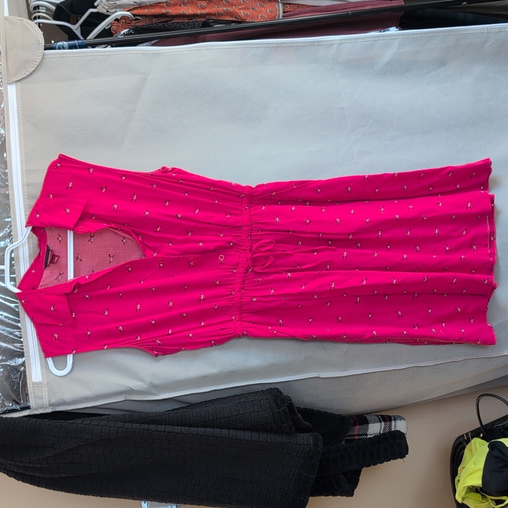 Red Sleeveless Button-Up Dress